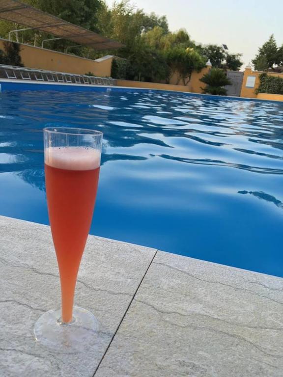 亚力诺伊皮诺 Agriturismo Macchiacupa酒店 外观 照片